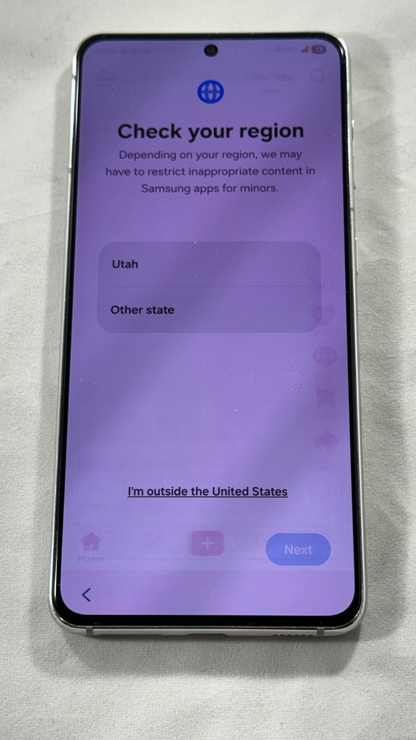 Samsung Galaxy S21 5G SM-G991U (UNLOCKED) 128GB Phantom White HEAVY SCREEN BURN